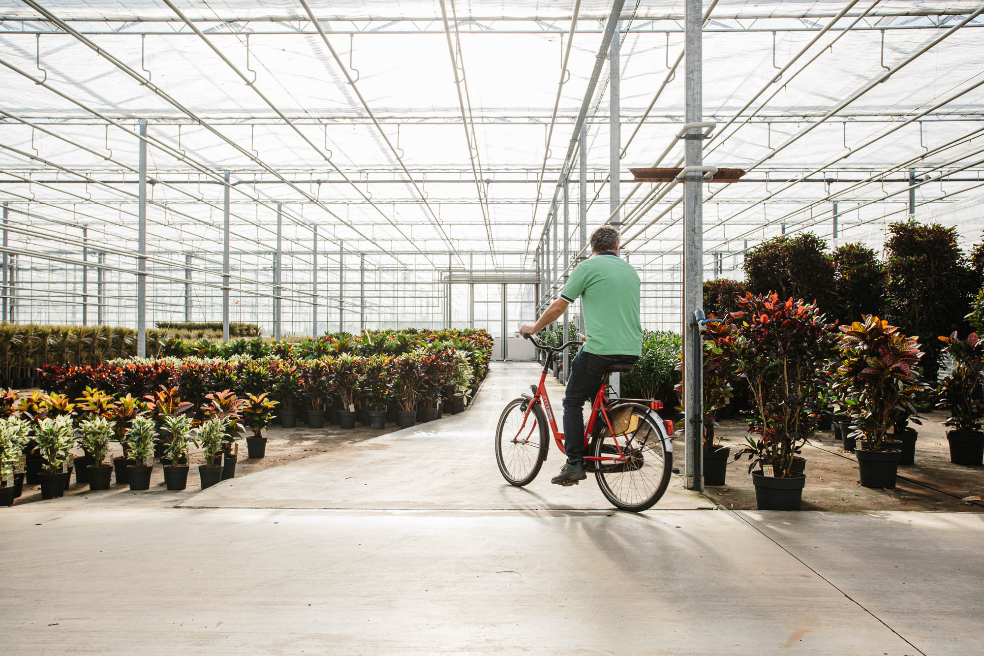 man on bike in nursery with plants