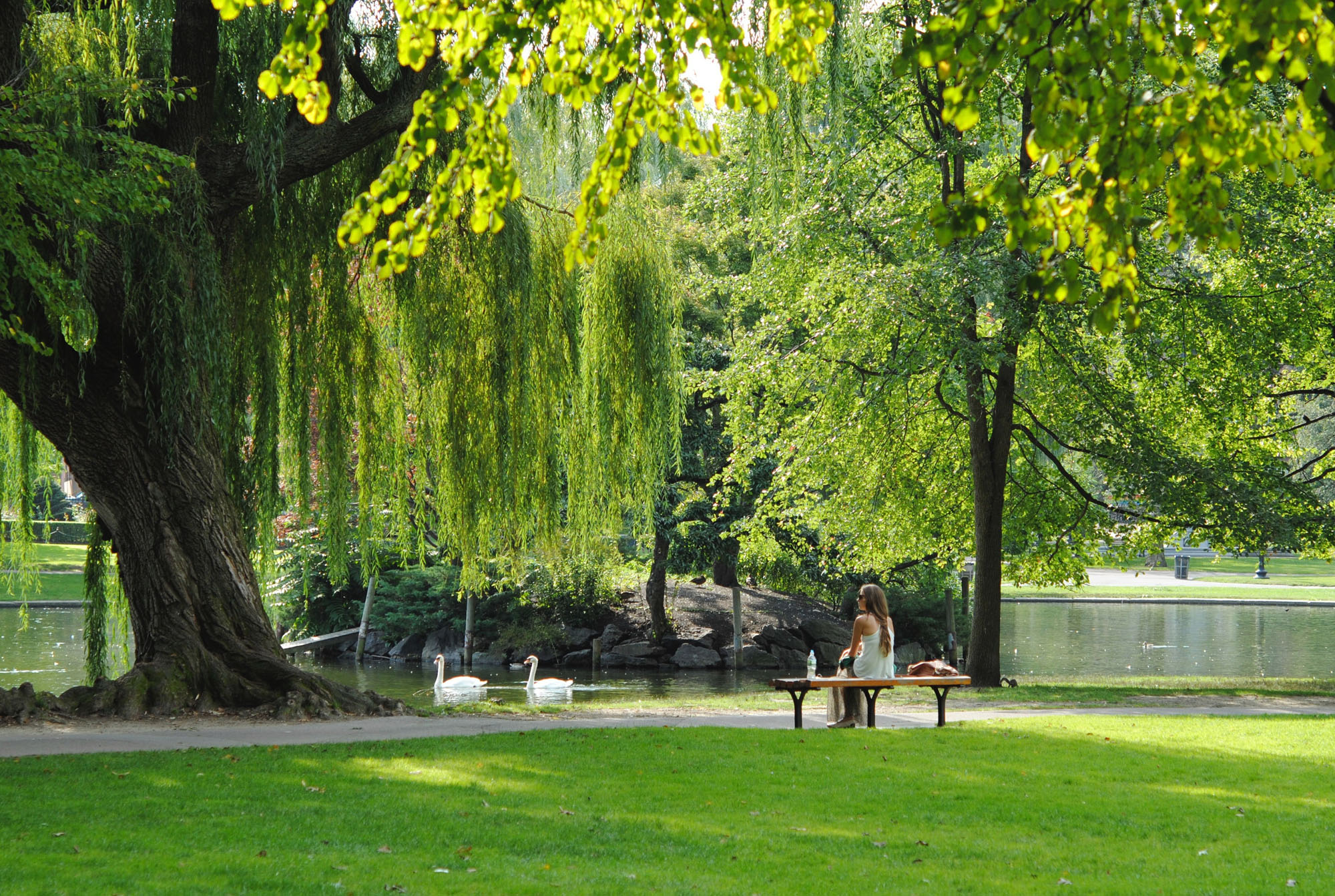 person sitting on bench in park