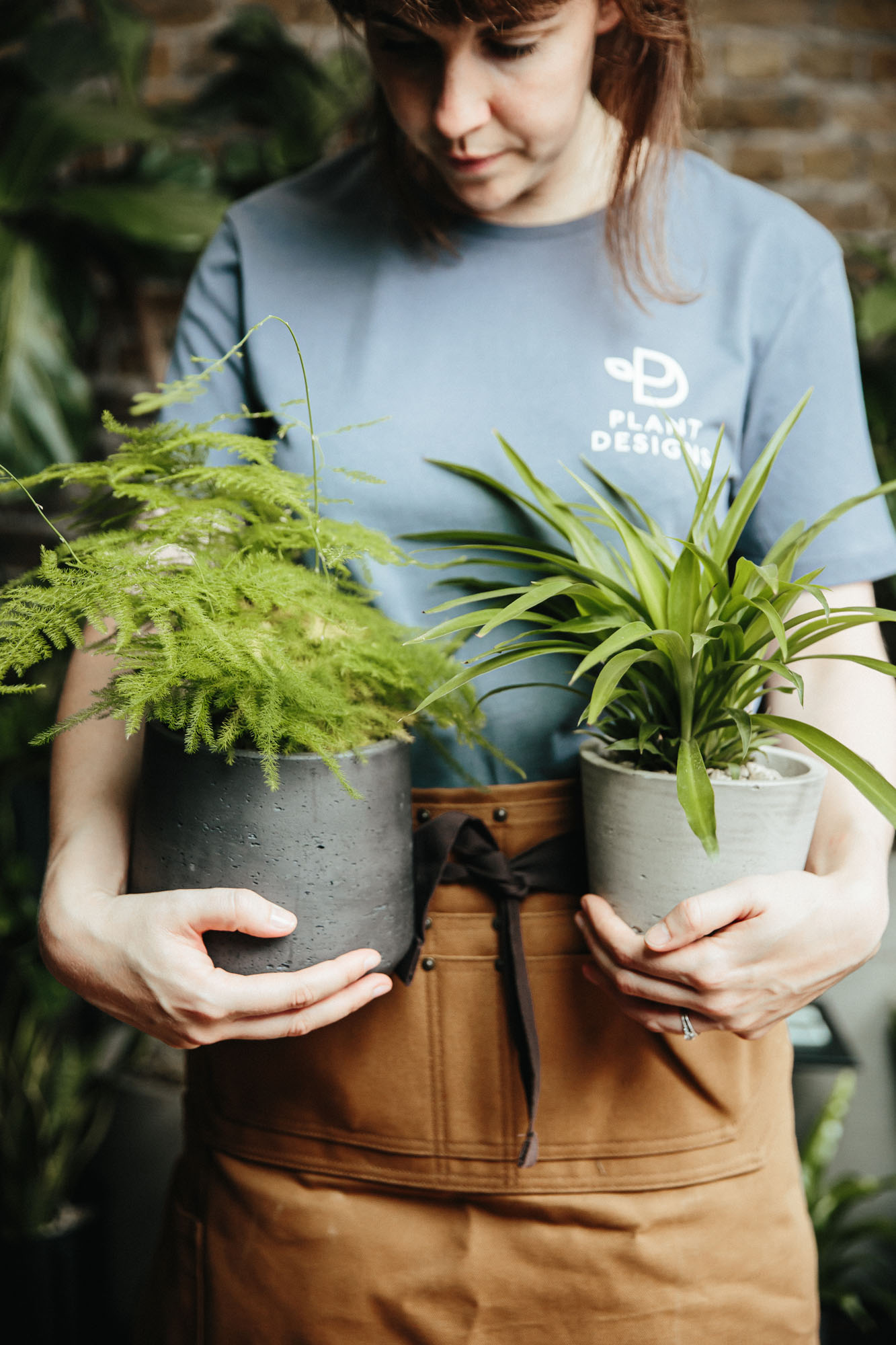 person holding plants in pots
