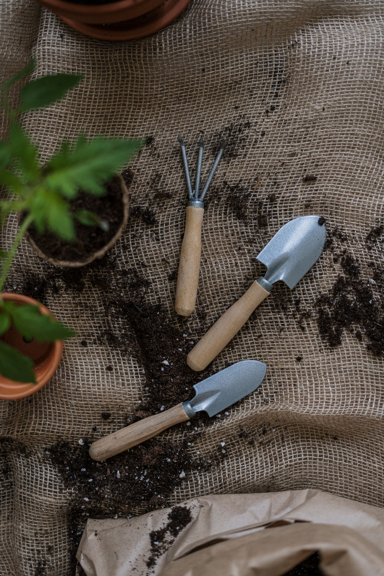 tools and and plants