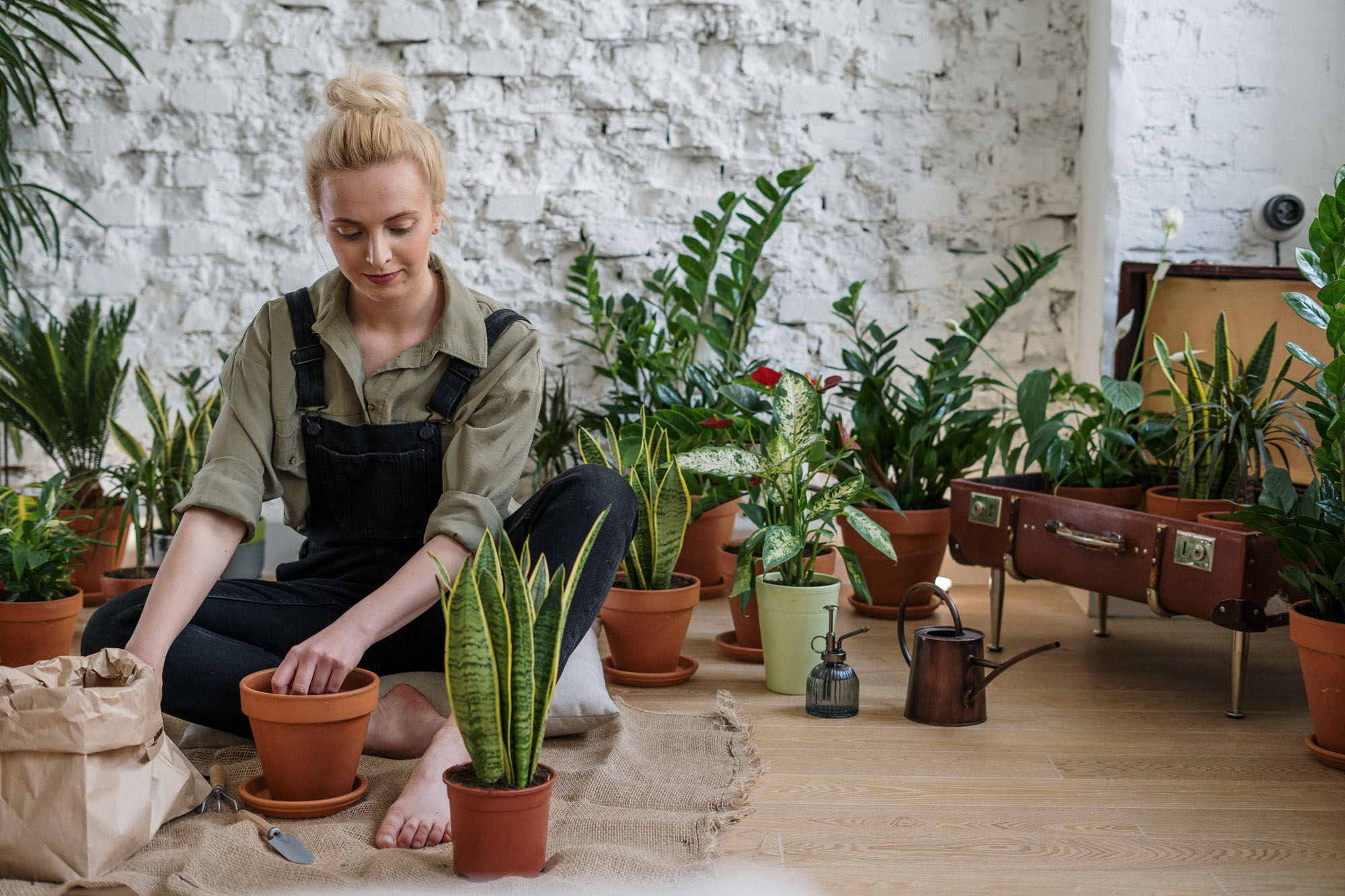 person on floor with plants and pots