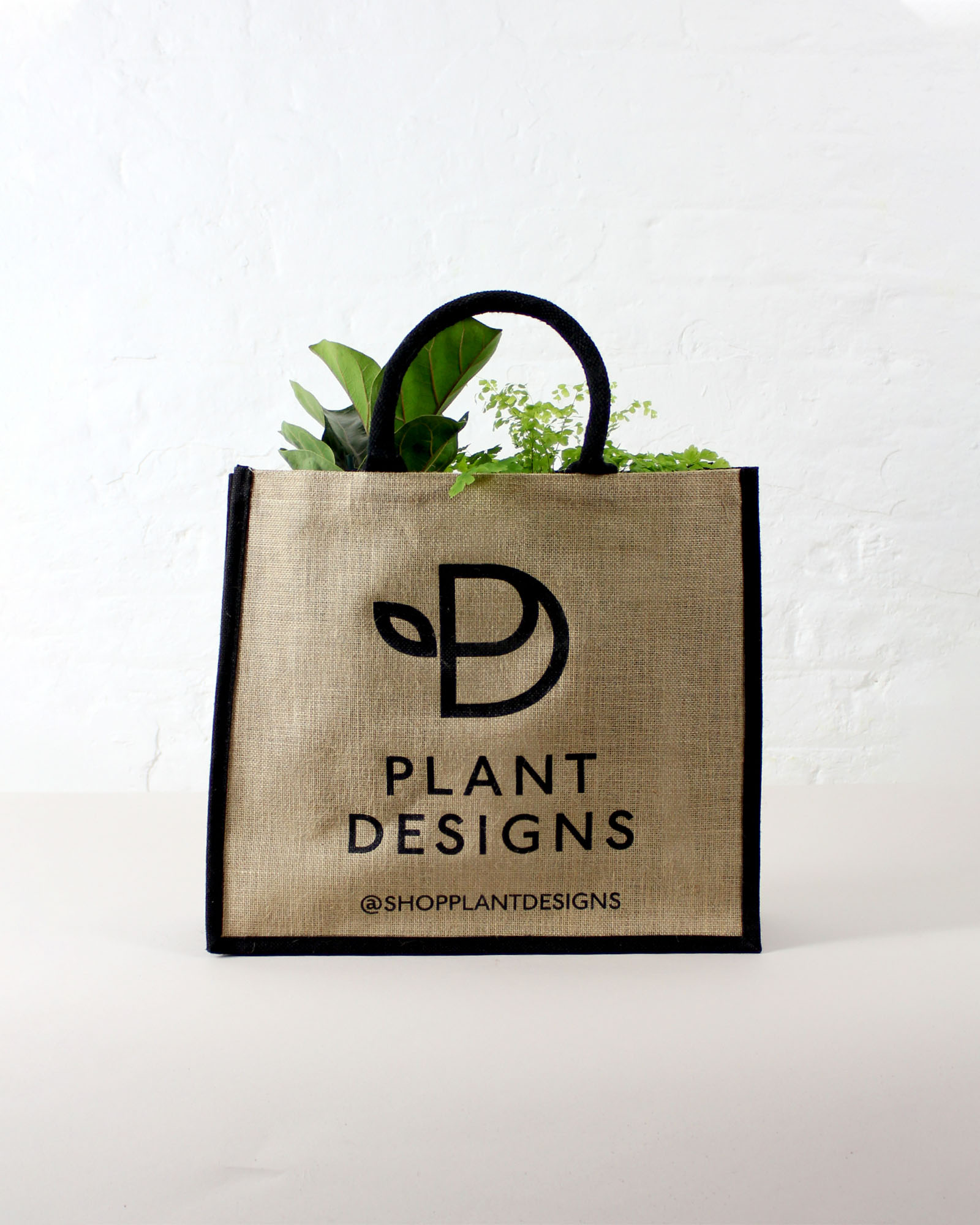 plants in plant designs bag
