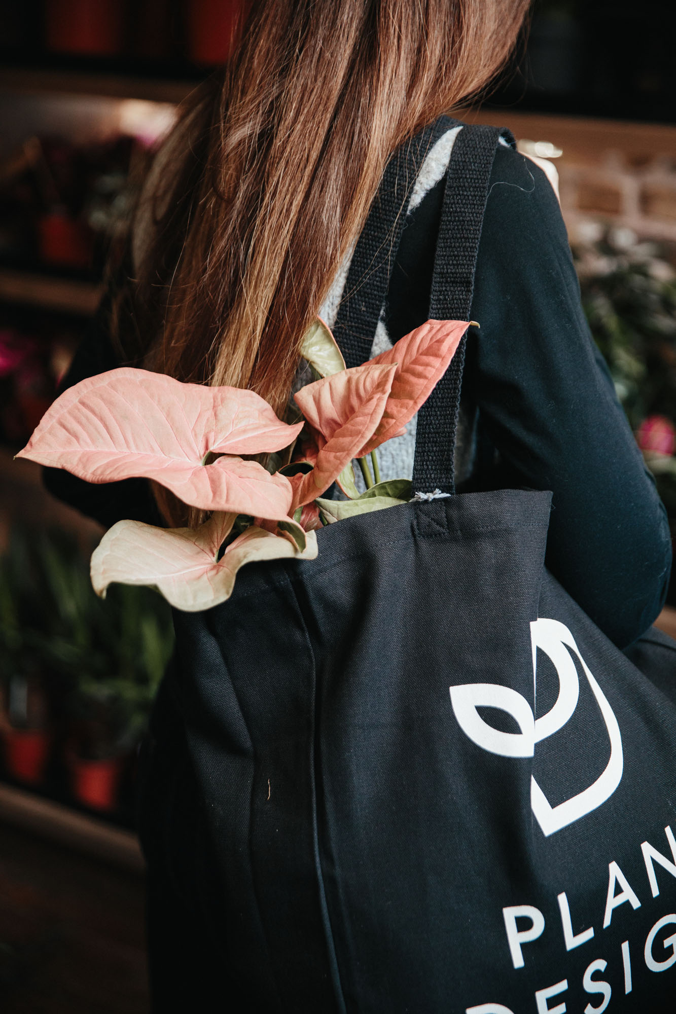 person holding plant in bag