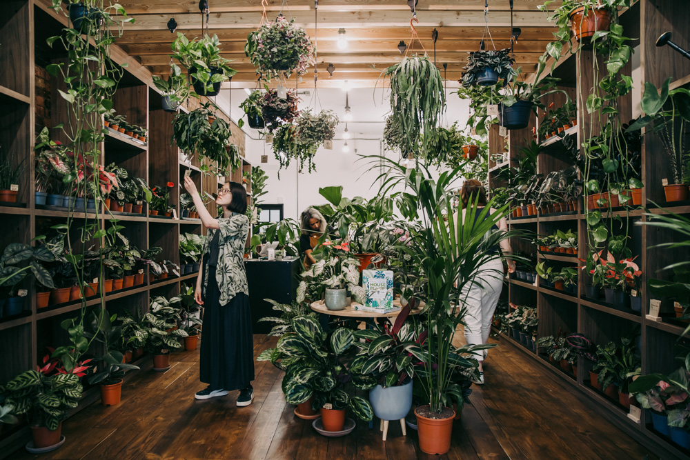 Customers looking around a plant shop