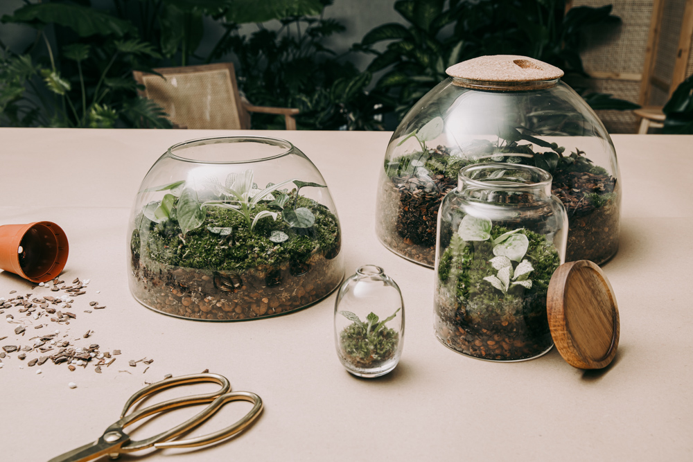 A set of glass terrariums on a table with workshop equipment